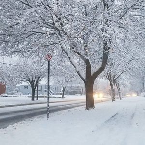 Meet your Posher, Maelyn